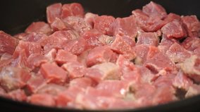 footage girl fry finely chopped meat in a frying pan. Full HD video