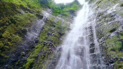 Low Angle Footage Waterfall Forest Hawaii Water Moss Rock Green Nature Travel Beautiful Rainforest Island Environment Tourism 4K