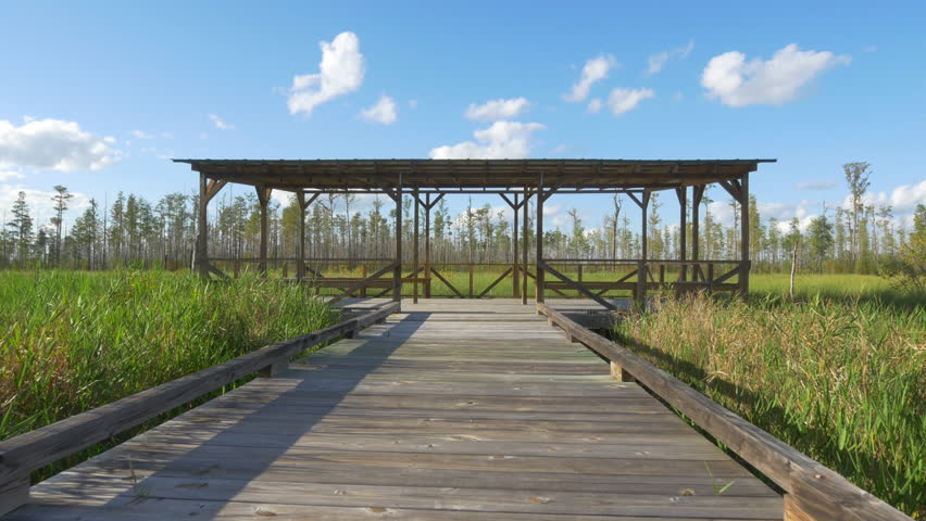 Wildlife refuge observation station in the middle of vast swamp