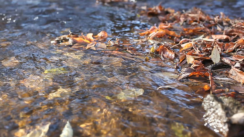 mountain river in autumn