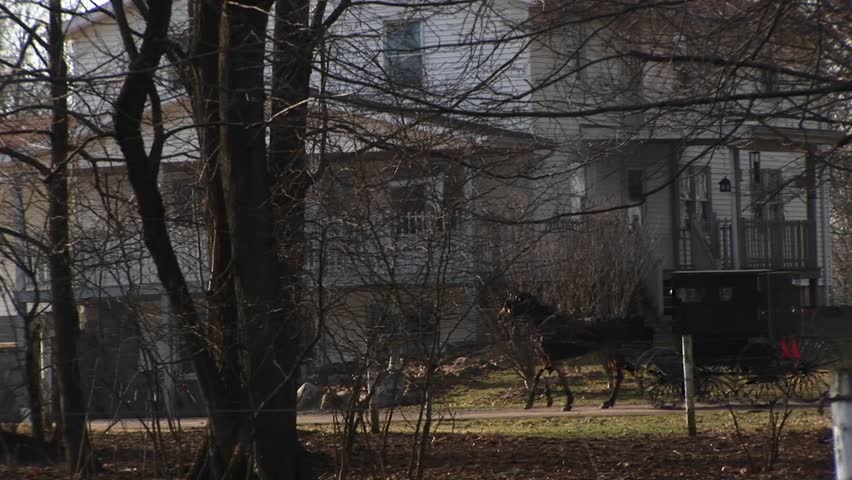 Amish buggy travels by a large rural home