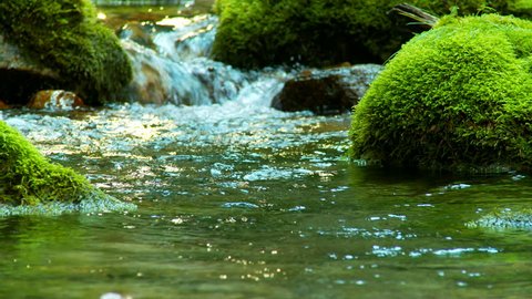 Stream Forest Clear Water Close Stock Footage Video (100% Royalty-free ...