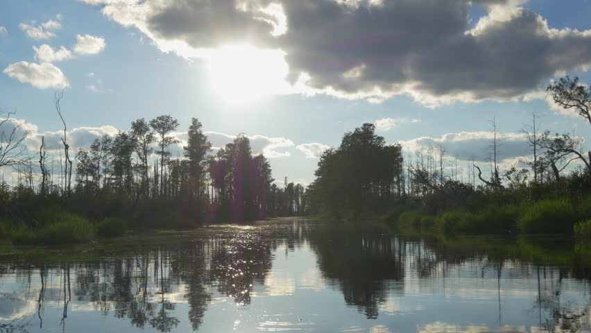 AERIAL: Amazing wetlands swamp canal with tall mossy trees in beautiful summer evening. Gorgeous reflection of cypress swamp tree canopies with beautiful spanish moss in calm glassy water surface