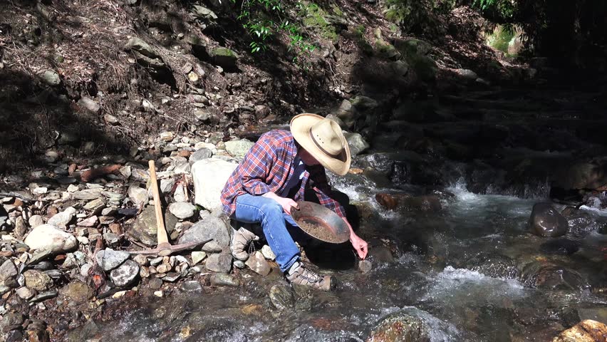 Miner and prospector searching for gold bearing material in the California Sierra Nevada mother load belt. 