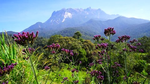 Footage of Mount Kinabalu scenery with a sound of nature.
