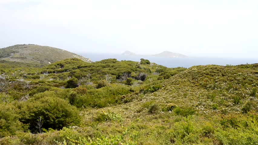 Wilsons Promontory National Park.
