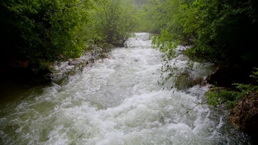Rapid River Flow Rushing Down In Green Forest