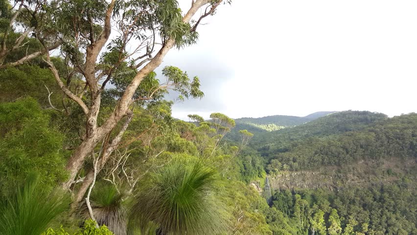 Lamington National Park Lookout 1 4K
