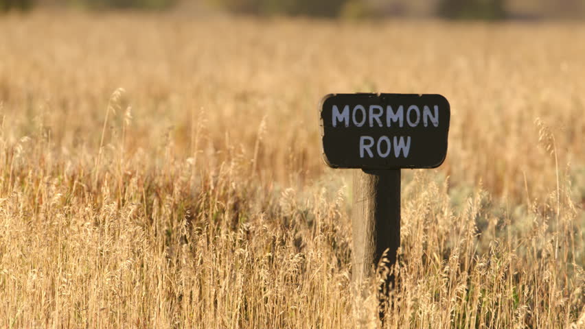 Wooden Mornon Row sign in tall meadow grass in Grand Teton National Park, Wyoming, USA. 4K.