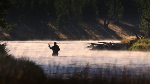Silhouetted fly fisherman standing in the middle of scenic river.  Fishing line glinting in morning sunlight in slow motion. Yellowstone National Park, Wyoming and Montana, USA. 4K.