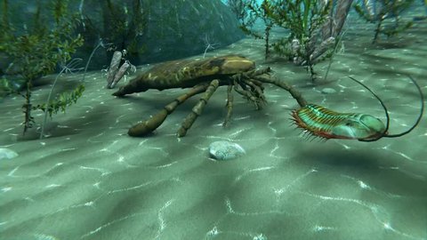 An animation of Eurypterus chasing a Trilobite on a sea bottom. Eurypterids are related to arachnids and include the largest known arthropods to have ever lived (460 to 248 million years ago).