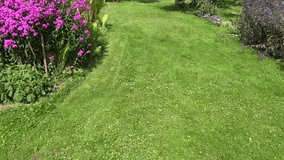 female gardener cut green meadow with lawn mower in flower garden. 4K UHD video clip.