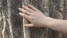 hand touching an ancient column as concept of love to historical architecture - Powered by Shutterstock - Get 15% off with code: PIKWIZARD15