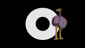 Letter O and Ostrich (foreground)
Animated animal alphabet. footage with chroma key. Animal in a foreground of letter.