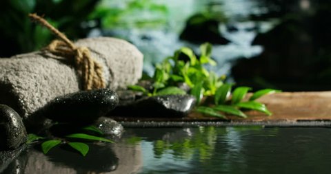 beautiful  rainy forrest spa in slow motion 