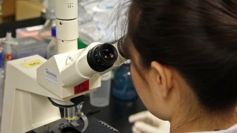 Female doctor  working in lab with a microscope.Shift focus shot.