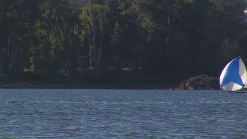 Small boat with blue sails passing right to left on the Willamette river with forest in background Portland, Oregon
