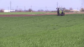Tractor is protecting wheat with herbicide spraying, Plant protection spraying herbicides, Video Clip