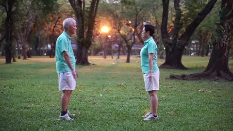 Video of Asian Senior Elderly couple Practice Taichi, Qi Gong exercise outdoor in the park. Abstract love health and nature