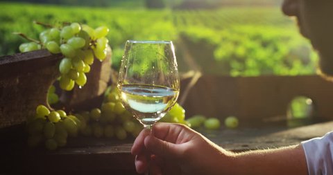 sommelier in italian wineyard in slow motion testing white wine 