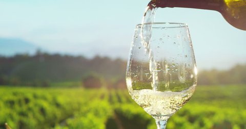 sommelier in wineyard pouring italian white wine in glass in slow motion
