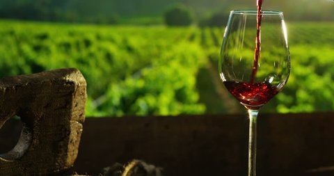 sommelier in wineyard pouring italian red wine in glass in slow motion 