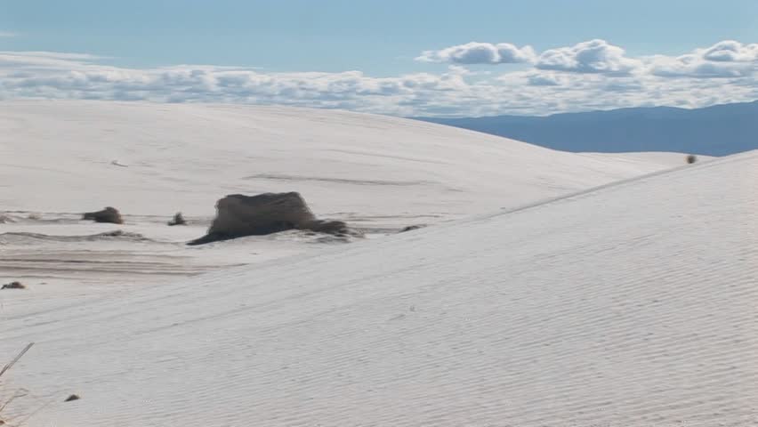 Pan right to sand dunes and a scraggly plant at White Sands National Monument in New Mexico