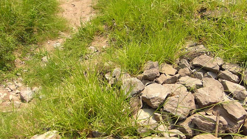 The drought and water scarcity in agriculture 