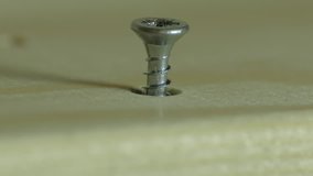 Ungraded: DIY furniture assembly. Craftsman drives the screw into the untreated unpainted wooden board with a manual screwdriver. Macro close-up. Source: Lumix DMC, ungraded. (av25823u)