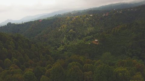 4K aerial footage of Panoramic aerial of Bali rain forrest on a beautiful day

