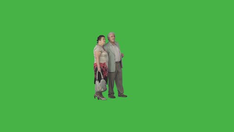 Elderly couple in casual clothing stroll arm in arm, looking around, discussing at summer day. Cut out on green screen. File format - .mov, codec PNG+Alpha. Shutter angle -180 (native motion blur)