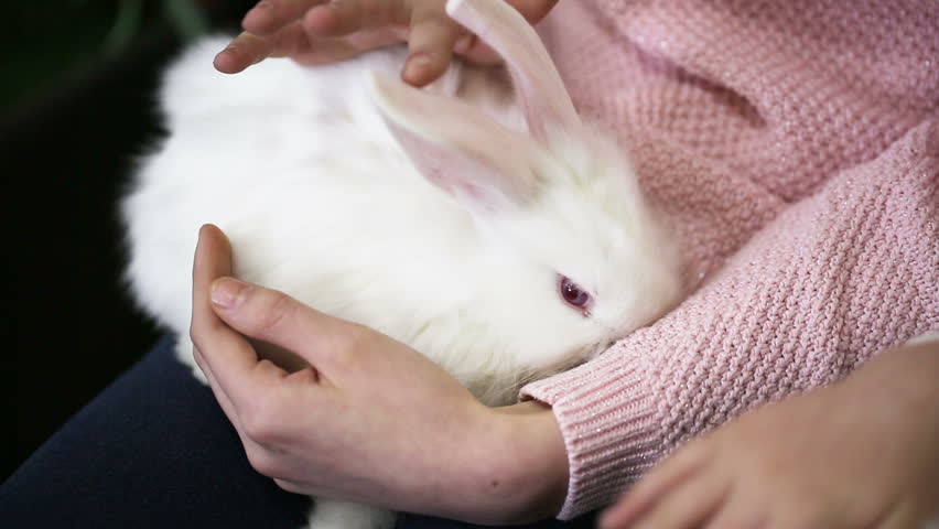 little girl holding white rabbit with pink ears 
