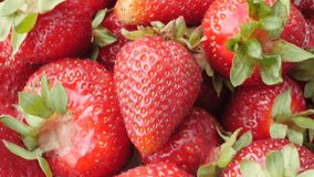 Tilting on fruit pile of Fragaria  ananassa fresh and juicy pieces 4K 2160p 30fps UltraHD video - Sweet red organic garden strawberries with green petiole penducles 4K 3840X2160 UHD slow tilt footage