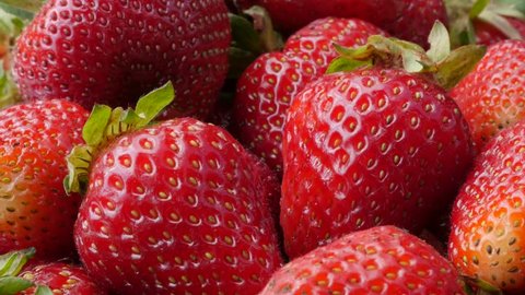 Strawberry Isolated On White Background Clipping Stock Photo 515237146 ...