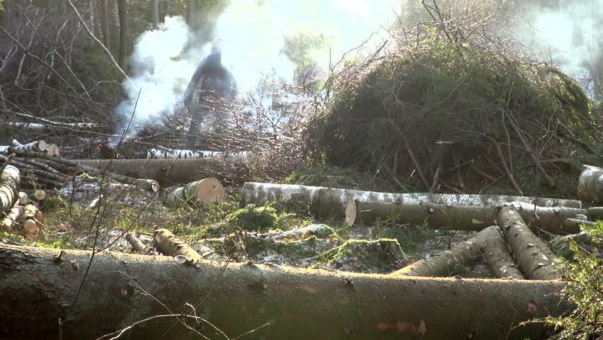 man working in the forest