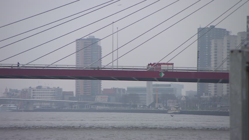 bridge rotterdam