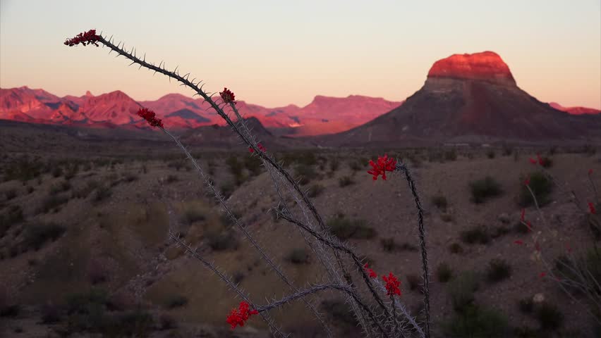 Big Bend National Park Desert Landscape at Sunset - Time Lapse