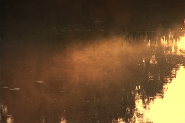 Mist over a swamp at dawn NTSC