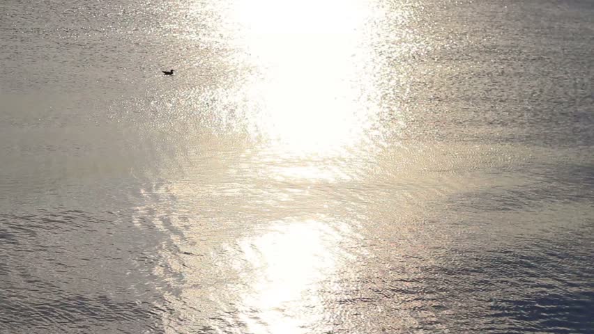 Metallic water surface, ripples and sunlight reflections 