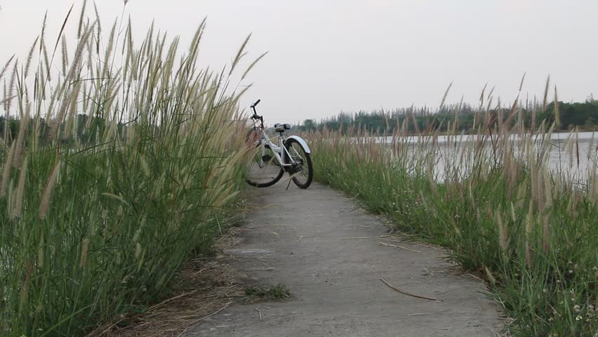 The means through which they can and get back to the sidewalk and bike lane. Under the Road Traffic lanes bridge or driveway.
