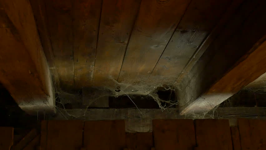 Waving spider web on the dusty grunge wood attic.