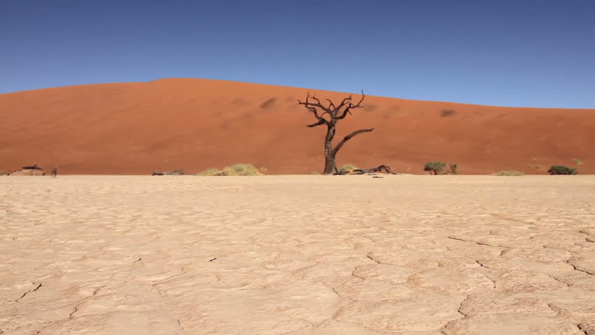 Tracking shot of Namib desert, Sossusvlei
