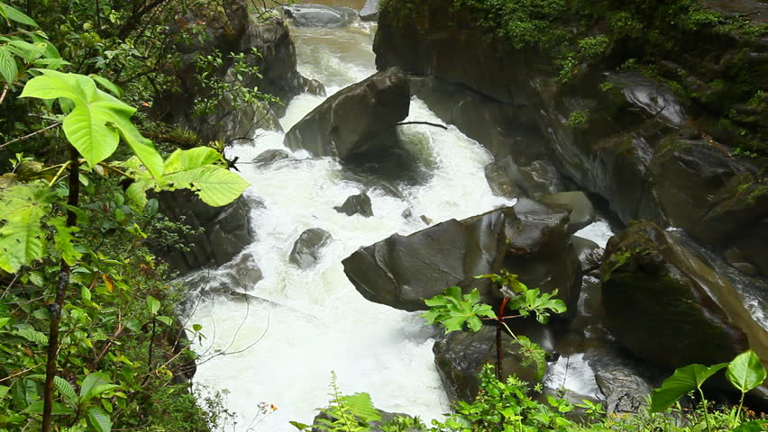 Mountain river in Ecuadorian rain forest