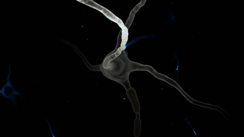 Animation of Neuron 
