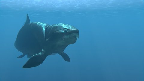 An animation of the giant (30 feet) prehistoric fish Dunkleosteus lurking in sea. Dunkleosteus was a placoderm fish that existed during the Late Devonian period