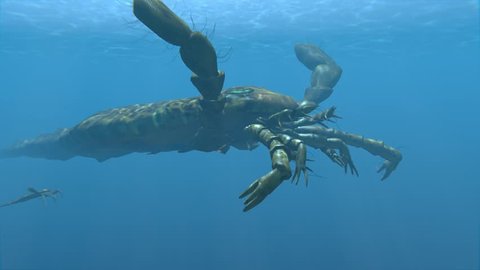 An animation of the large extinct Eurypterus and young in the sea. Eurypterids (Sea Scorpions) were giant arthropods existing from the mid Ordovician to late Permian (460 to 248 million years ago)