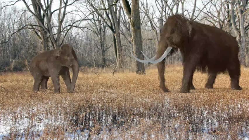 An animation of a Woolly Mammoth and child in an Ice Age forest. The extinct Woolly Mammoth was an enormous mammal that once roamed the vast Ice Age northern landscapes.