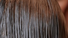 Stylist Combing Brown Hair - Shallow Depth of Field