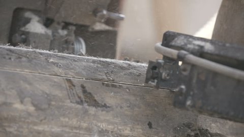 wood cutting machine board log in a sawmill