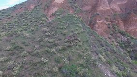 Video from the air mountain canyons. Beautiful spring landscape of rocks and green mountains. Kazakhstan.